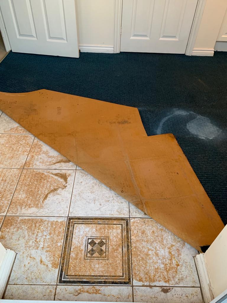 https://www.tilecleaning.co.uk/wp-content/uploads/2019/01/Ceramic-Tiles-with-Carpet-Adhesive-Contamination-Before-Cleaning-Measham-125252.jpg